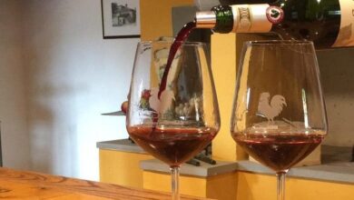 Red wine being poured into glasses during an intimate tasting experience on private wine tours florence italy.