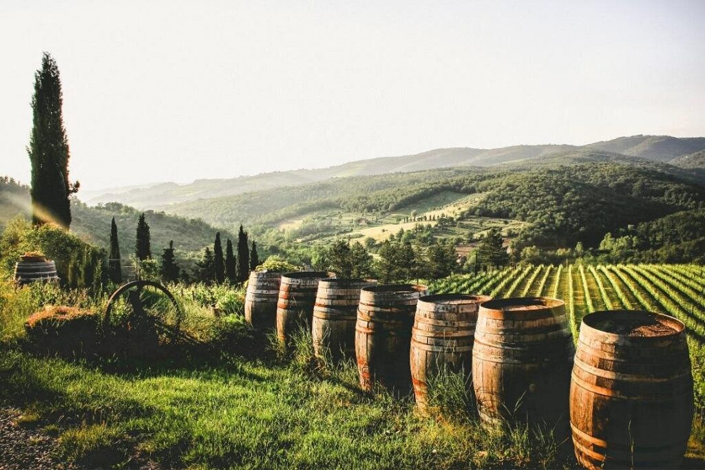 Wooden wine barrels overlooking rolling Tuscan vineyards on a chianti wine tour from florence at golden hour