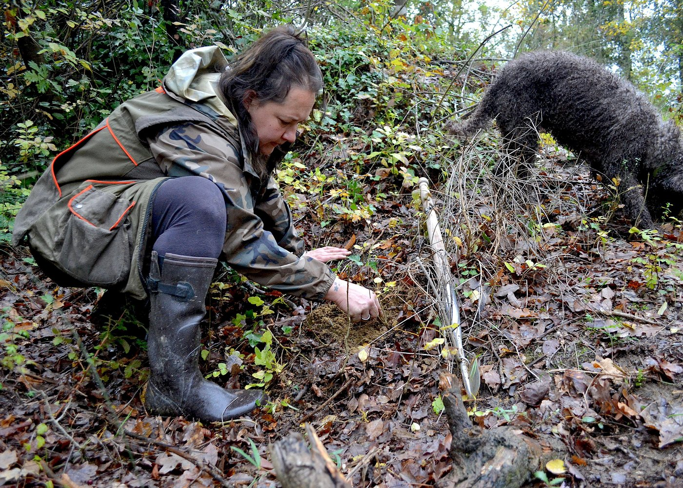 Tour image for Full-Day Small-Group Truffle Hunting in Tuscany with Lunch