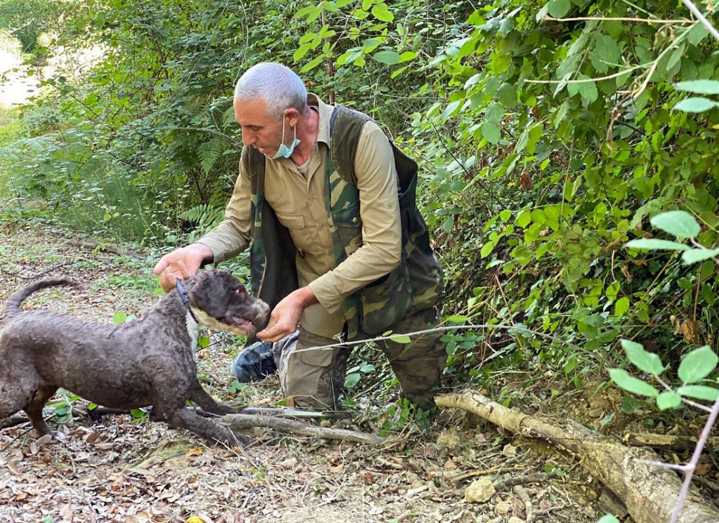 Truffle hunter rewarding trained dog during truffle hunting Florence experience in Tuscan woodland.