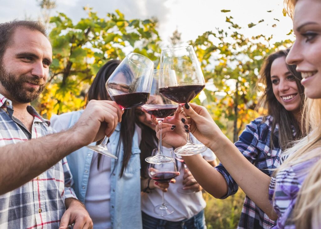 Friends clinking glasses of red wine in a vineyard setting during a frascati wine tour, enjoying a relaxed tasting experience surrounded by lush vines.