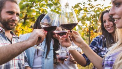 Friends clinking glasses of red wine in a vineyard setting during a frascati wine tour, enjoying a relaxed tasting experience surrounded by lush vines.