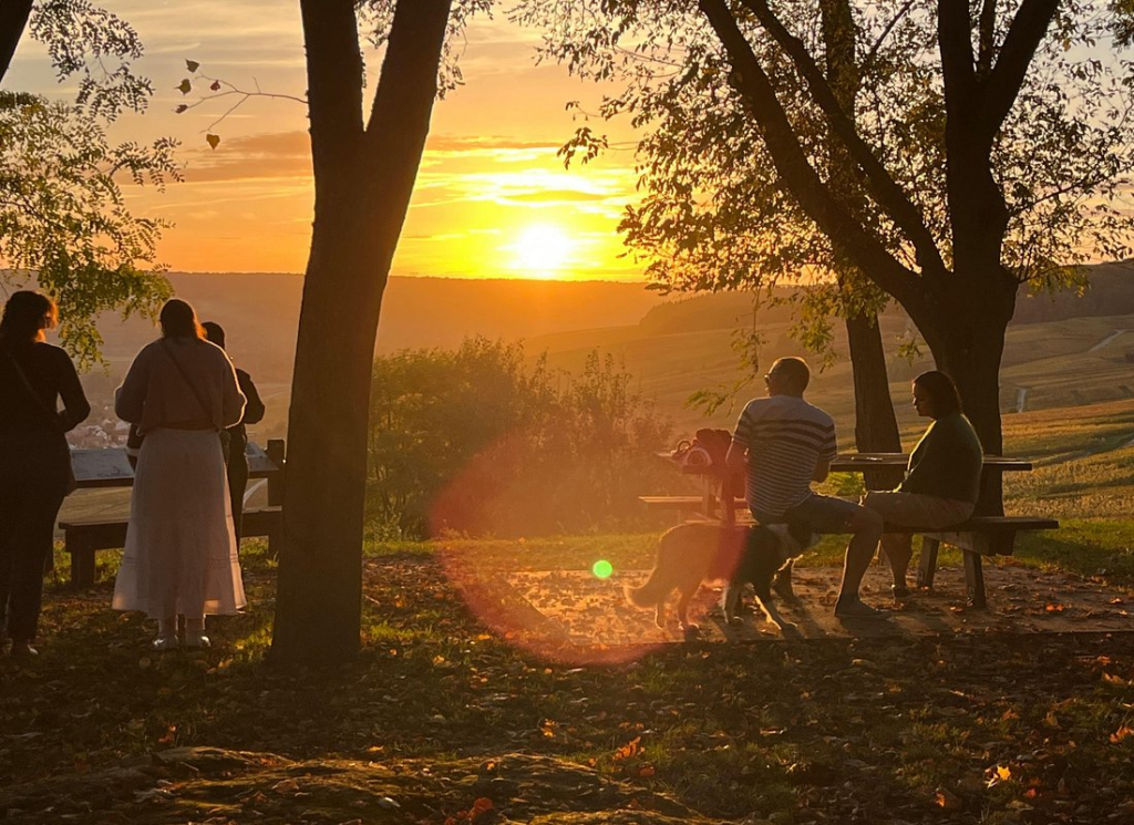 Travelers relaxing under trees at sunset overlooking rolling vineyards in Tuscany during tuscany wine tours from rome, enjoying scenic countryside views and a peaceful atmosphere.