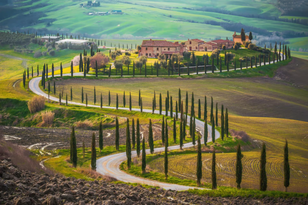 Winding cypress-lined road leading to a traditional Tuscan farmhouse surrounded by rolling hills, an iconic scene experienced on tuscany wine tours from rome.