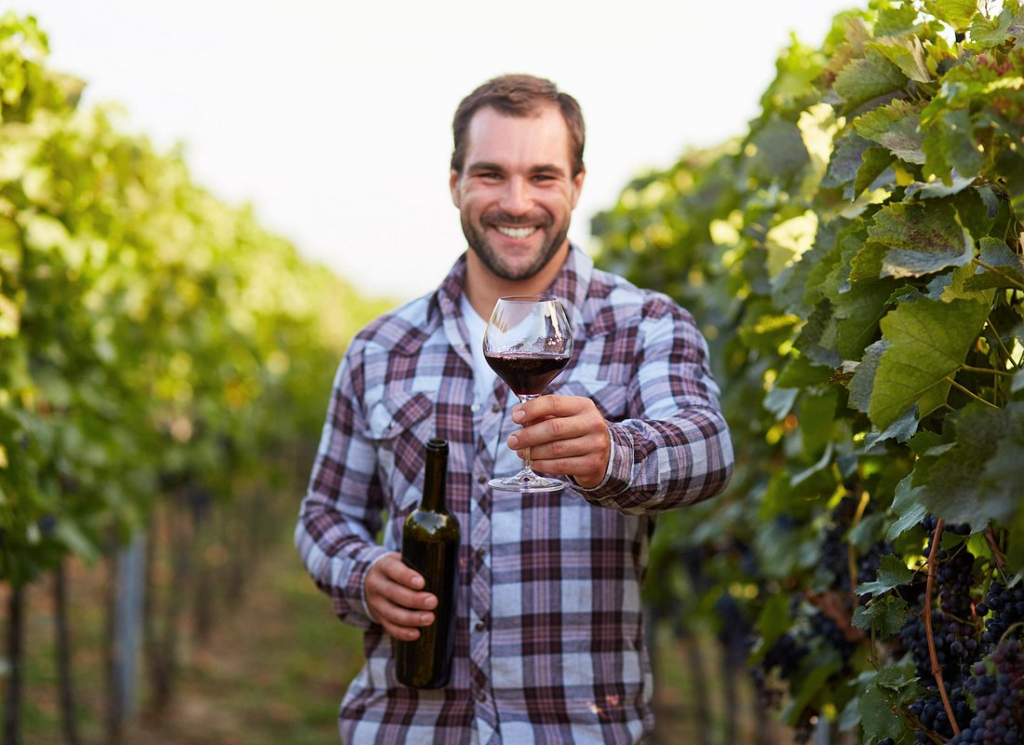 Smiling man holding a glass of red wine in a vineyard during a frascati wine tour, showcasing a relaxed tasting experience among rows of grapevines.