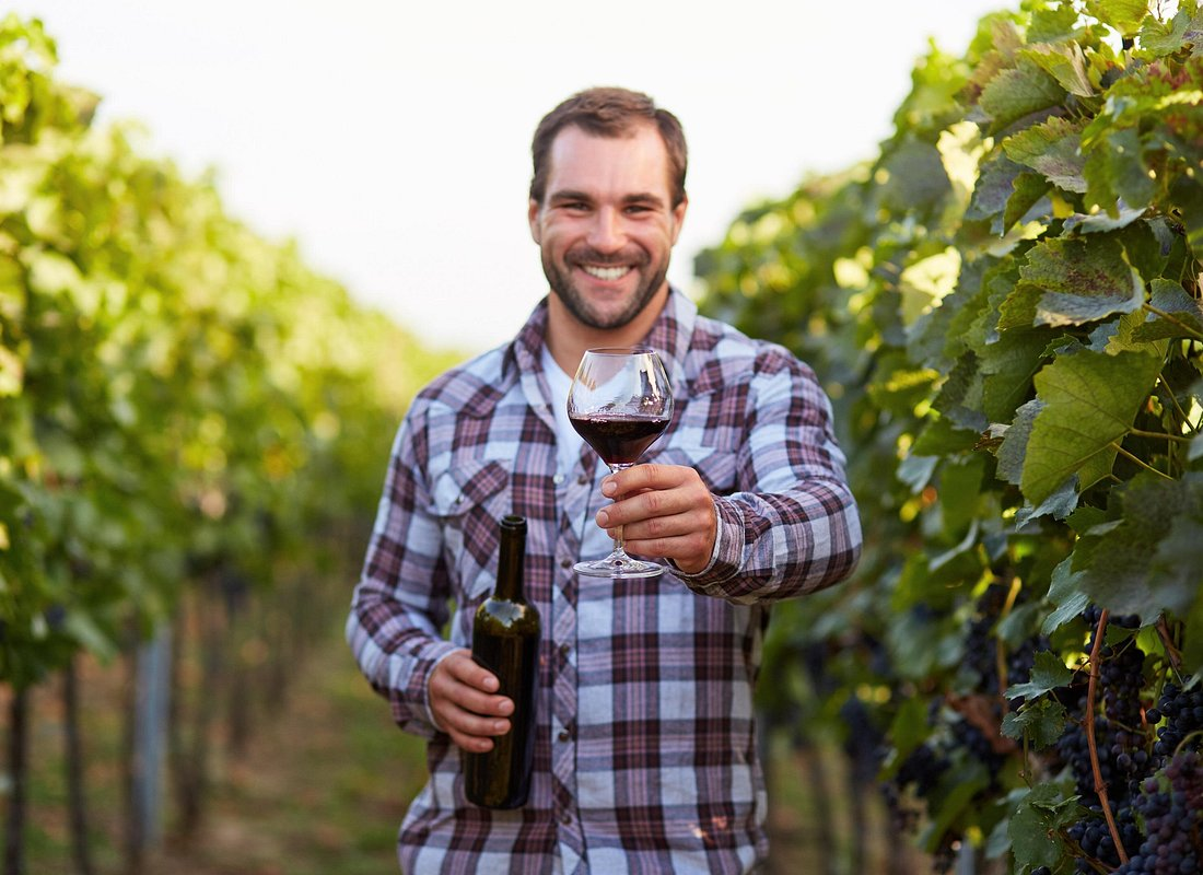 Rome: Frascati Private Day Trip - Town Tour, Lunch & Wine Tasting
