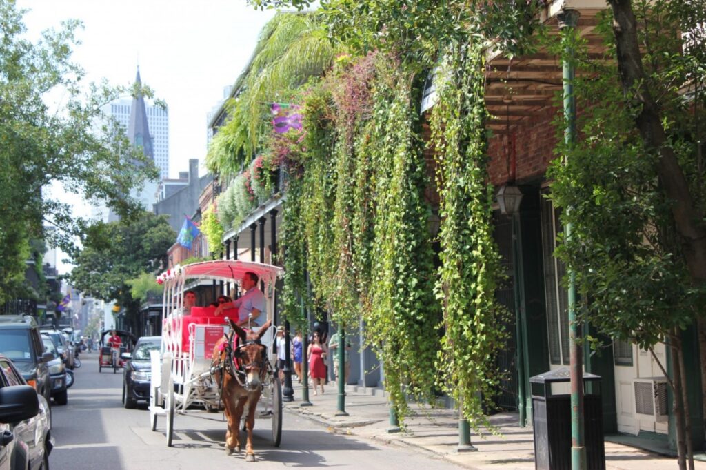 Horse-drawn carriage traveling along a lush French Quarter street lined with historic wrought iron balconies draped in greenery, one of the most iconic things to do in New Orleans.