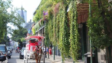 Horse-drawn carriage traveling along a lush French Quarter street lined with historic wrought iron balconies draped in greenery, one of the most iconic things to do in New Orleans.